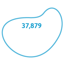 37,879 followers on Twitter