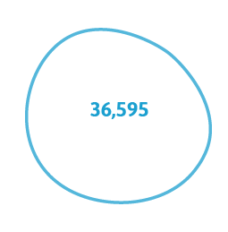 36.595 website visitors