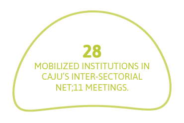 28 mobilized institutions in Caju’s Inter-sectorial Net;11 meetings.