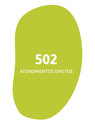 502 atendimentos diretos