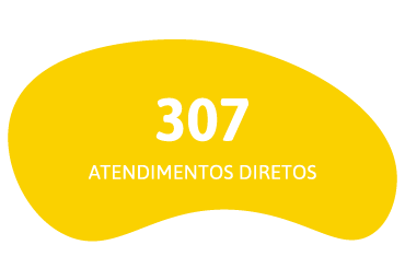 307 atendimentos diretos